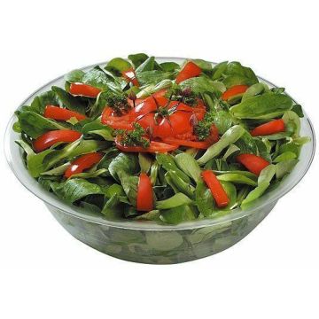 APS Salatschüssel glasklar 8 Liter