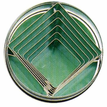 Contacto Ausstechformen, quadratisch glatt