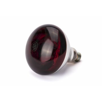 Hendi Infrarotlampe mit rotem Licht , 230 V / 0,25 kW, ø 125 x (H) 170 mm