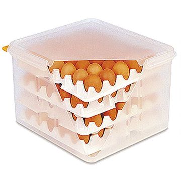 Contacto Eierbox GN 2/3