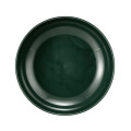 Seltmann Weiden TERRA Foodbowl, 25 cm, moosgrün