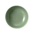 Seltmann Weiden BEAT Color Glaze Foodbowl 20 cm , salbeigrün 