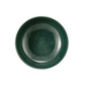 Seltmann Weiden TERRA Foodbowl, 20 cm, moosgrün