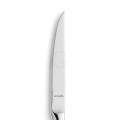 Amefa Tendence 9090 Steakmesser Vollheft