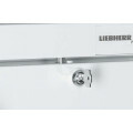 Liebherr Gewerbe Tiefkühlschrank GGU 1550 Premium Schloss