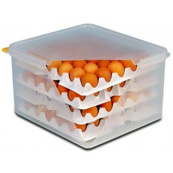 APS Eier-Box GN 2/3