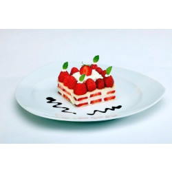 APS Schaumspeiseformen 8x8x4,5 cm 5er Set
