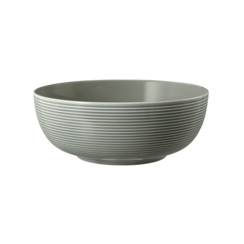 Seltmann Weiden BEAT Color Glaze Foodbowl 20 cm , perlgrau