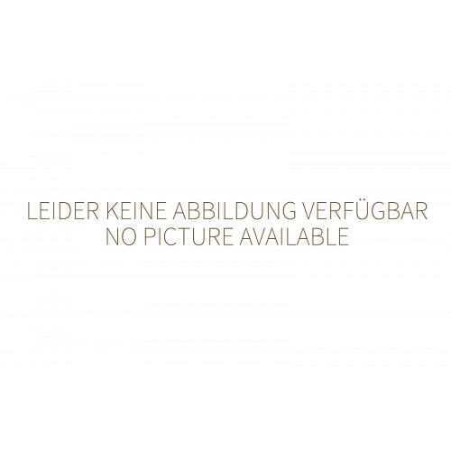 Neumärker Ersatz-Aktivkohlefilter für Mobile Abzugshaube