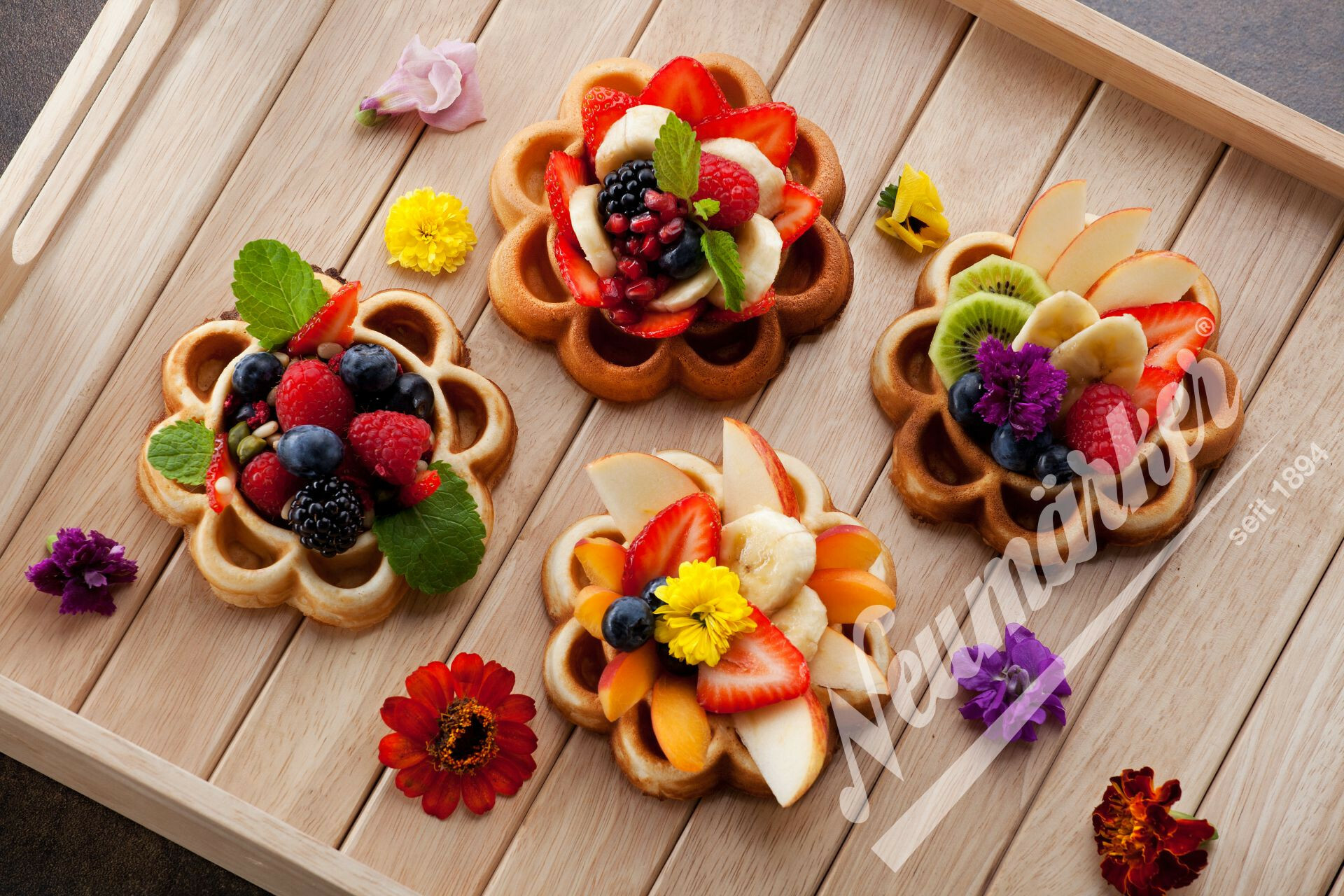 Neumärker Waffeleisen Waffeltörtchen II Shop | Gastrodax®