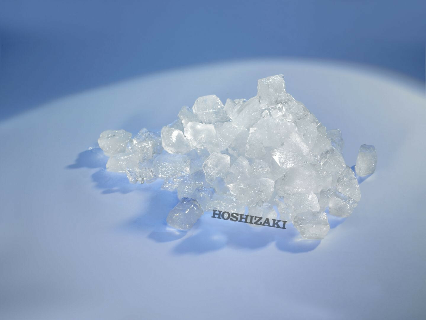 Hoshizaki Crushed Ice Maker FM 300 AKEHC Gastrodax