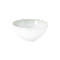 Seltmann Weiden BLUES Schüssel rund 15,5 cm, salbeigrün 