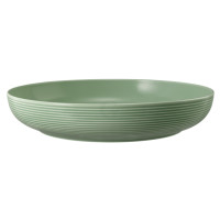 Seltmann Weiden BEAT Color Glaze Foodbowl 28 cm , salbeigrün