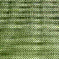 APS Tischset - apfelgrün