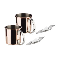 APS Mini Feuerzangen Set 2