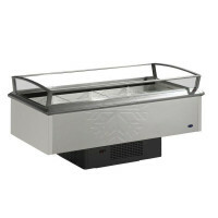 Carrier Kühlinsel Multinor 2040