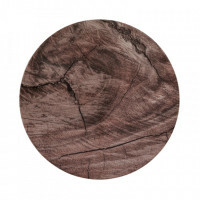Seltmann Weiden Coup Fine Dining Oak Coupteller flach 21,5 cm M5380