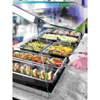 Scholl Install Hold Line GN mit Rahmen 3200-20