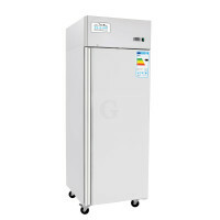 Atosa ICE8116GR Volltürkühlschrank GN2/1