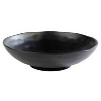 APS Zen Schale schwarz
