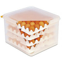 Contacto Eierbox GN 2/3