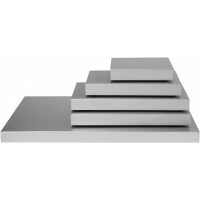 SARO Kühl-Servierplatte Modell STAY COOL 1/6 GN