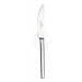 Picard und Wielpütz Tools 6176 Dessertmesser Hohlheft