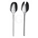 Picard und Wielpütz Tools 6174 Salatbesteck massiv