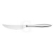 Solex Terra Steakmesser Vollheft