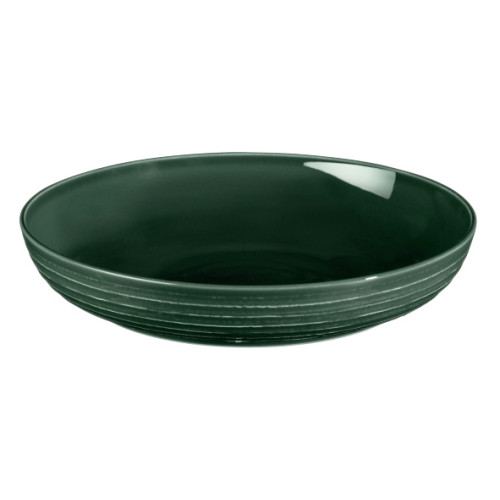 Seltmann Weiden TERRA Foodbowl, 28 cm, moosgrün