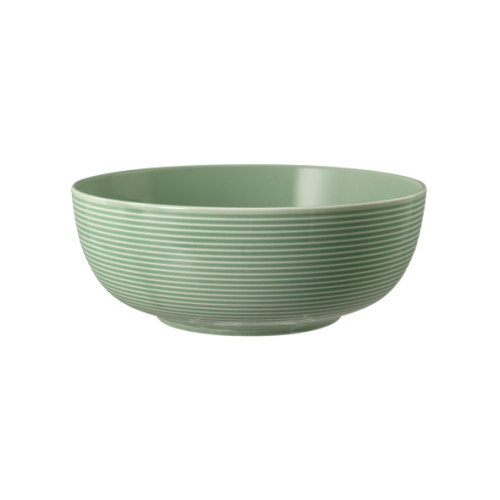 Seltmann Weiden BEAT Color Glaze Foodbowl 20 cm , salbeigrün 
