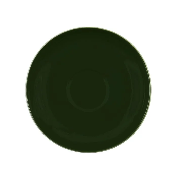 Seltmann Weiden VIP Cappuccinountertasse 1131, 14,5 cm, grün