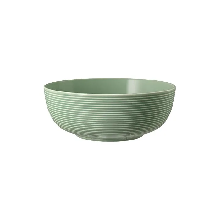 Seltmann Weiden BEAT Color Glaze Foodbowl 20 cm , salbeigrün 