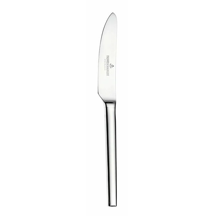 Picard und Wielpütz Tools 6176 Dessertmesser Hohlheft
