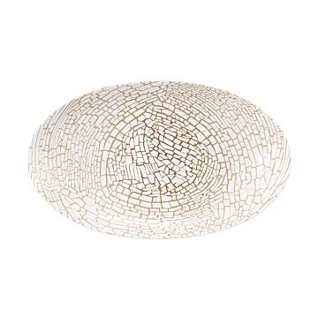 Seltmann Weiden LIBERTY Servierplatte oval 24 x 14,5 cm, krakelee