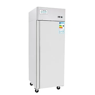 Atosa ICE8113GR Volltürtiefkühlschrank GN2/1