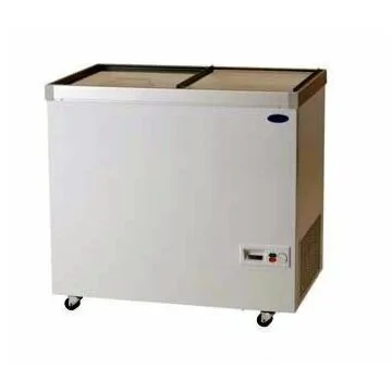 Carrier Eistruhe CET 301