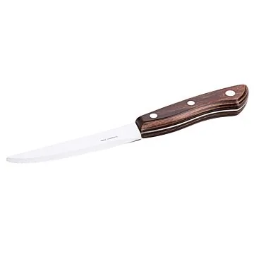 Contacto Steakmesser, groß