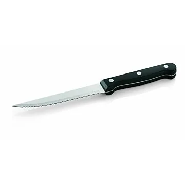 WAS 12 Stk. Steak-/Pizzamesser mit Kunststoffgriff 21 cm Edelstahl