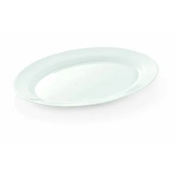 WAS Platte Uni 30,5 x 22,5 cm, 2 Stk. Opalglas