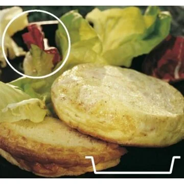 Contacto Backmatte Florentiner