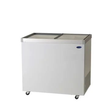 Carrier Flaschenkühltruhe CFT 300