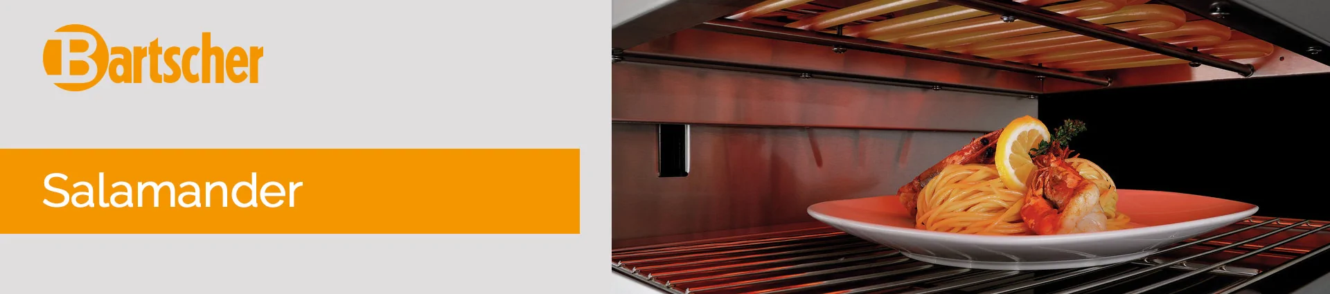 Bartscher Salamander Banner