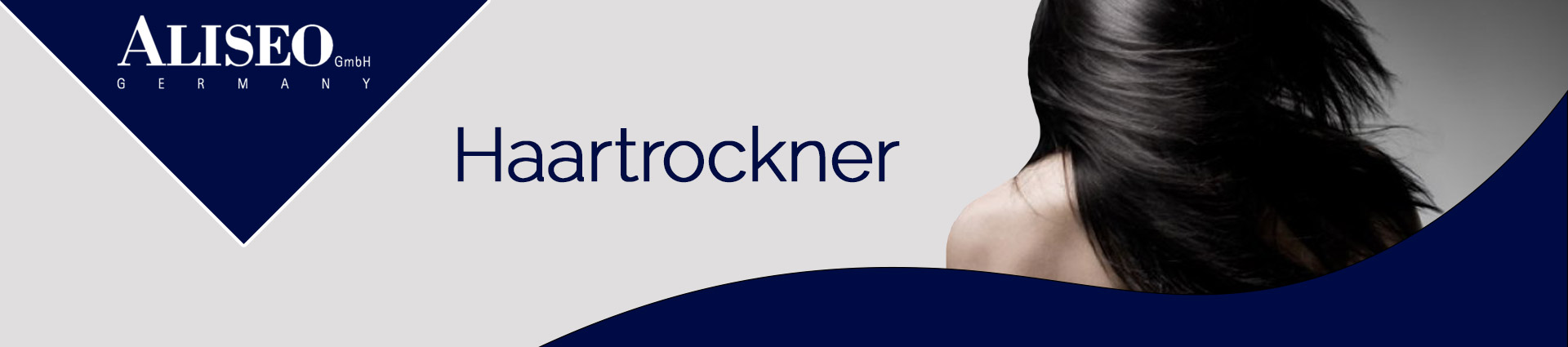 Aliseo Haartrockner Banner