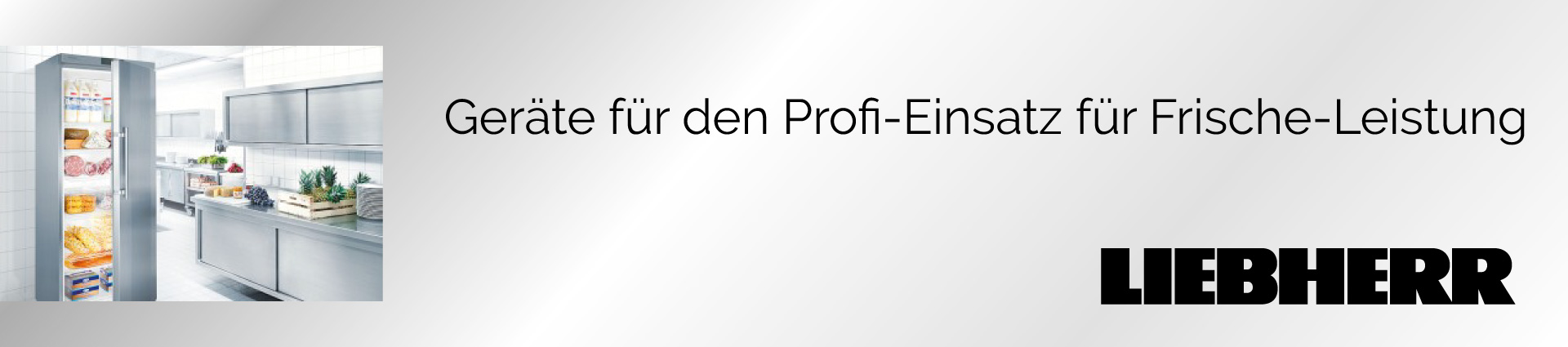 LIEBHERR Profi-Einsatz Banner 