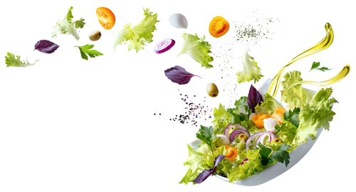 MKN Salat Banner