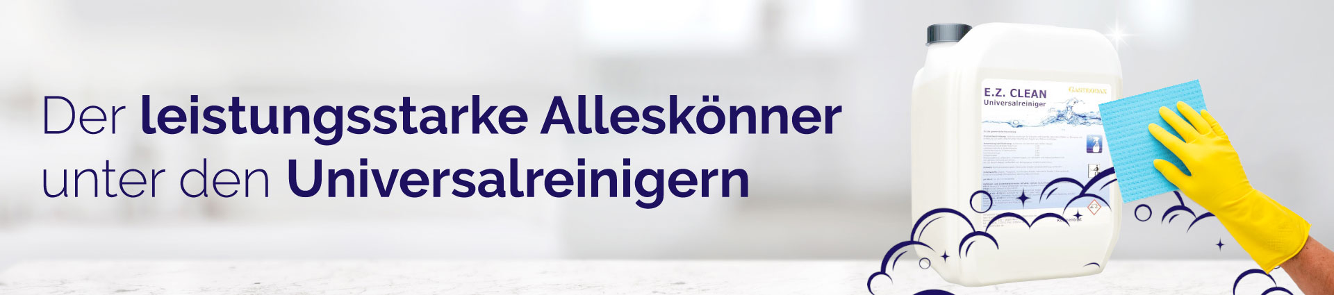 EZ-Reiniger-Banner
