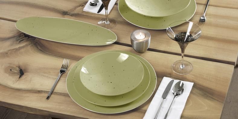 Seltmann Weiden Serie COUP Fine Dining Country Life